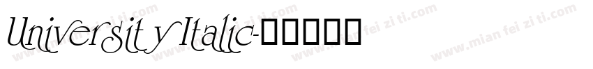 University Italic字体转换